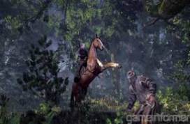 The Witcher 3: