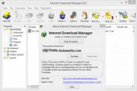 Internet Download Manager IDM 6