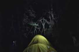 Blair Witch 2016