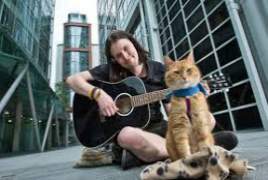 A Street Cat Named Bob 2016