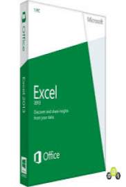 Microsoft Excel 2013