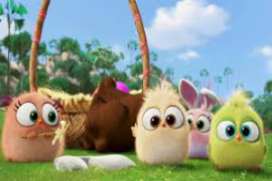 Angry Birds 2016