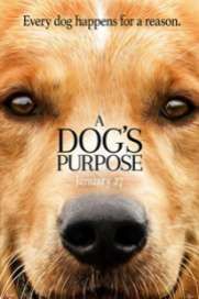 A Dogs Purpose 2017