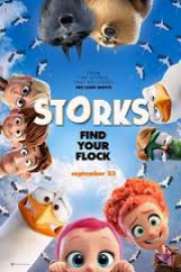 Storks Kd 2017