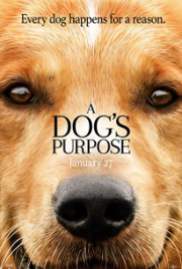 A Dogs Purpose 2017