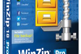 WinZip Pro v21