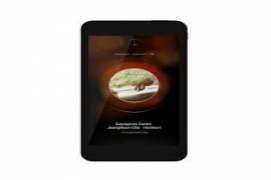Music Player