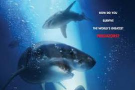 47 Meters Down