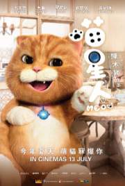 Meow 2017