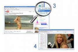 Ant com Video Downloader with embedded