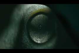 Maxon Cinema 4D